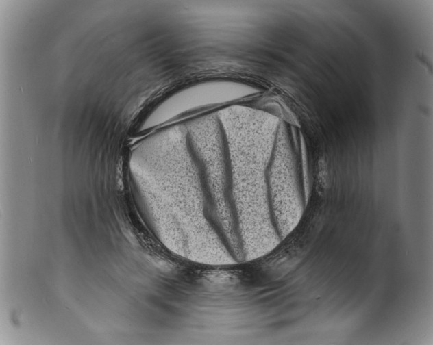 X0000098200547200805221544