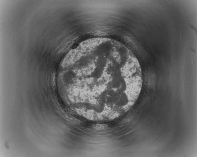 X0000098200549200805221544