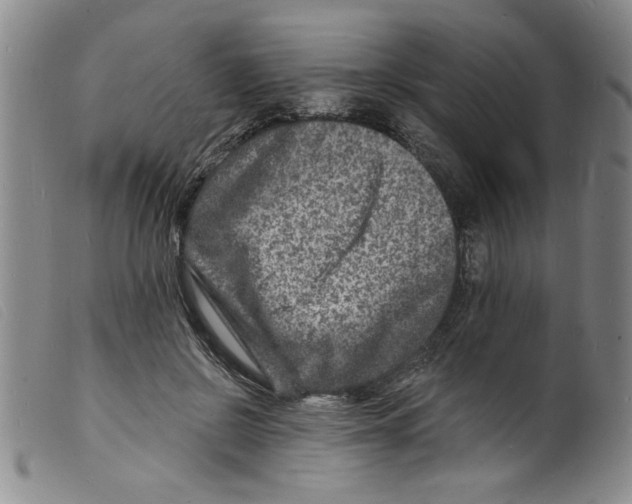 X0000098200550200805221544
