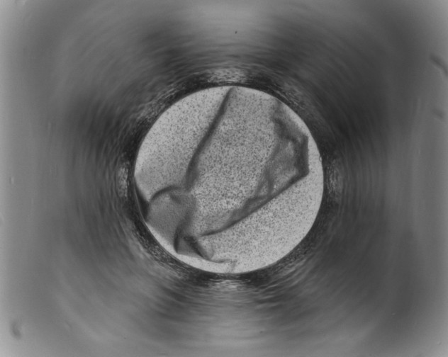X0000098200551200805221544