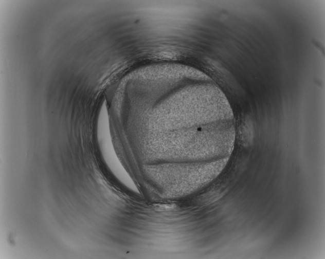 X0000098200552200805221544