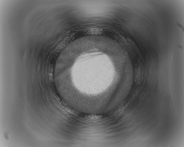 X0000098200553200805221544