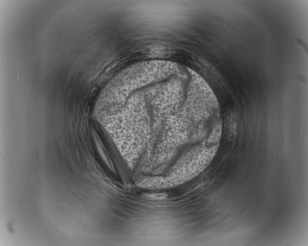 X0000098200554200805221544