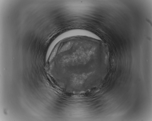 X0000098200556200805221544