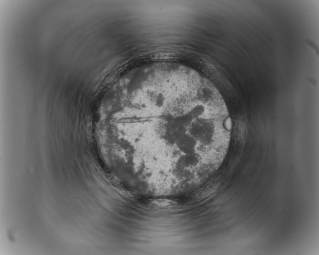 X0000098200557200805221544