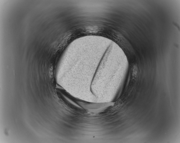 X0000098200559200805221544