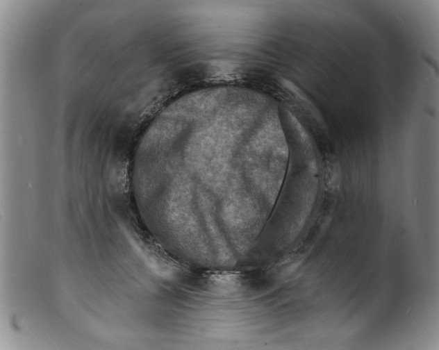 X0000098200560200805221544
