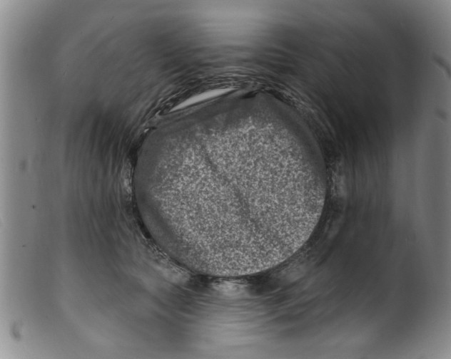 X0000098200561200805221544