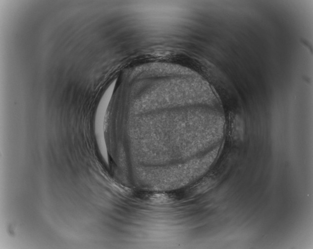 X0000098200562200805221544