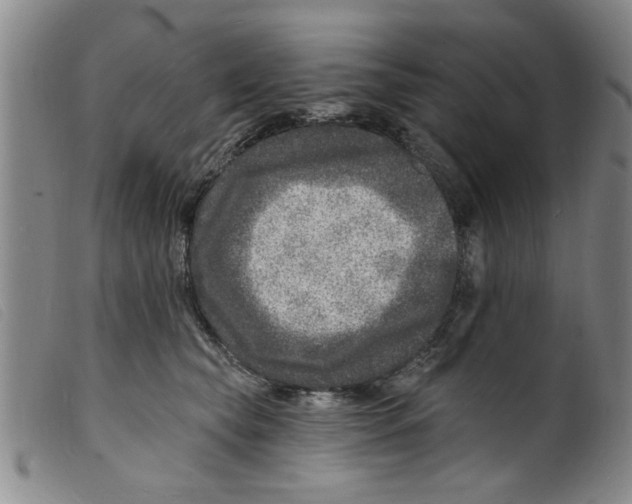 X0000098200565200805221544