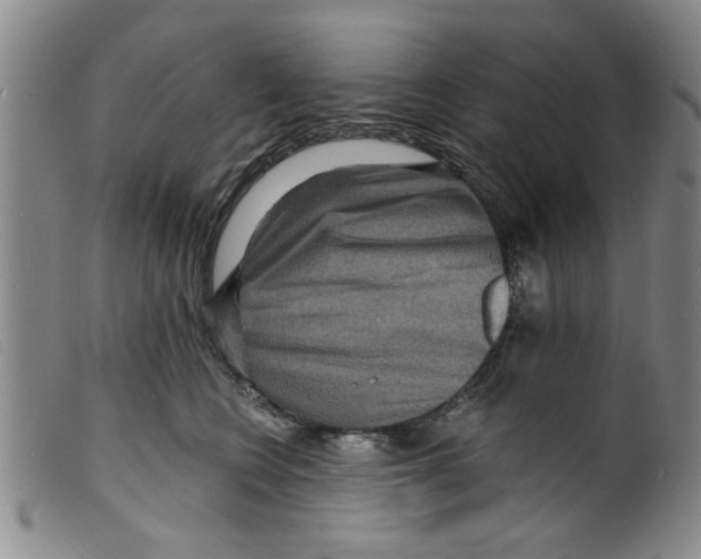 X0000098200566200805221544