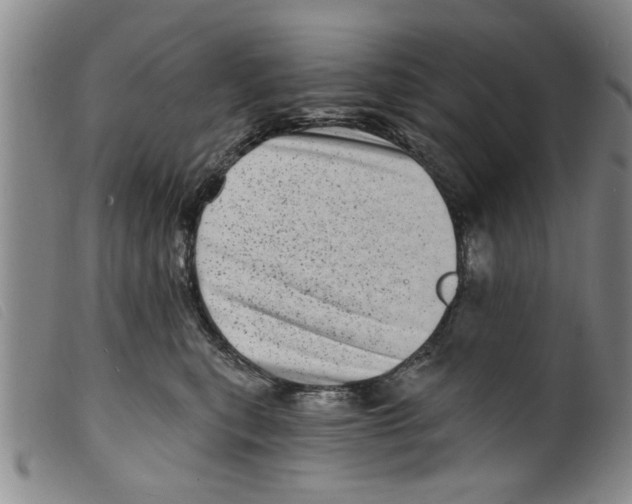 X0000098200567200805221544