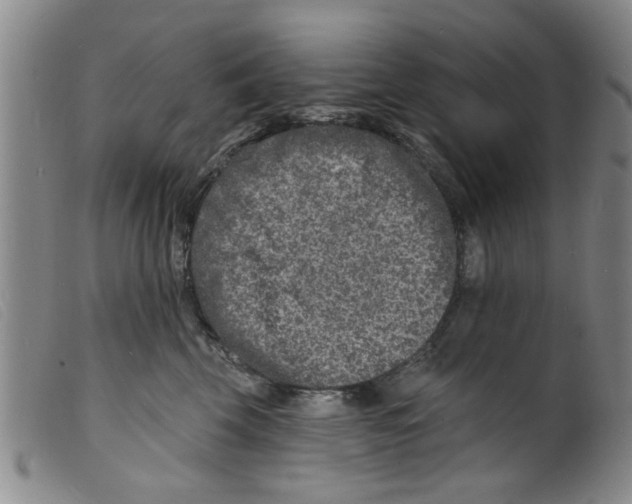 X0000098200569200805221544