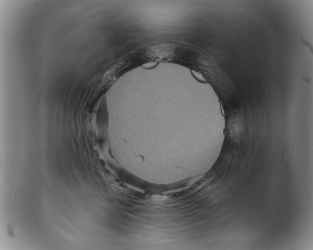 X0000098200570200805221544