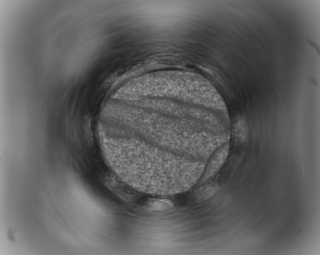X0000098200572200805221544
