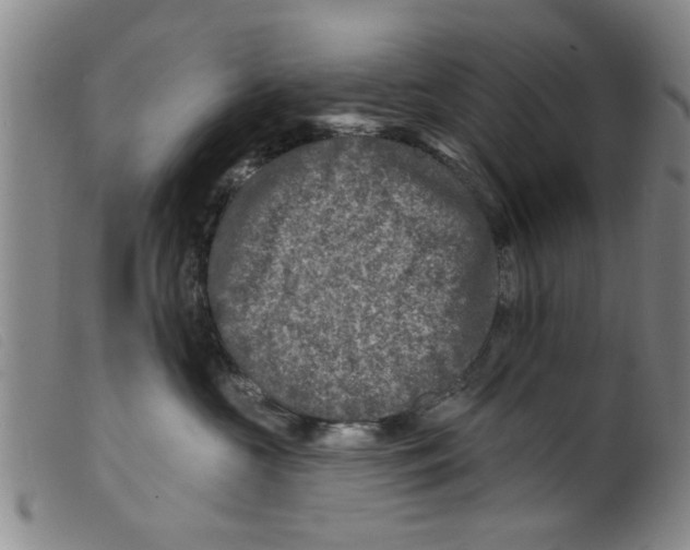 X0000098200573200805221544
