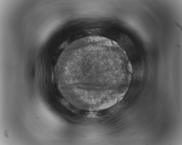 X0000098200574200805221544