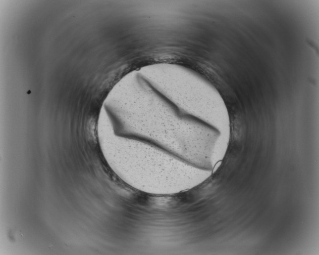 X0000098200575200805221544