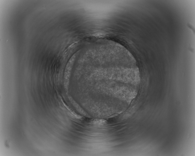 X0000098200576200805221544