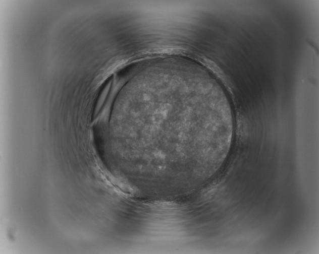 X0000098200577200805221544
