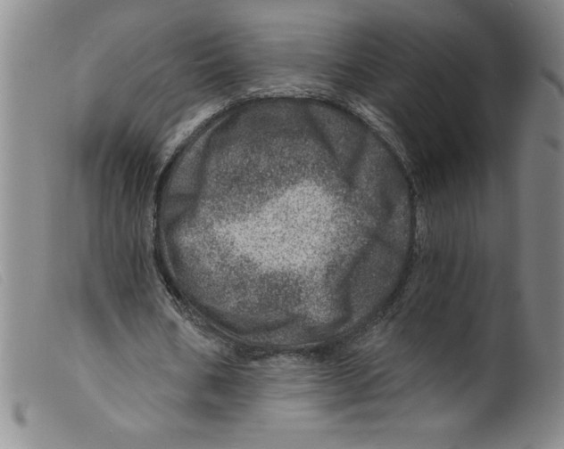 X0000098200578200805221543
