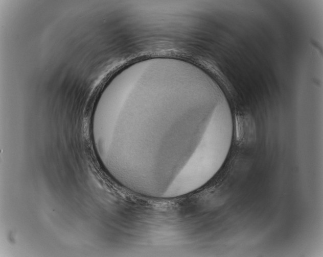 X0000098200579200805221543