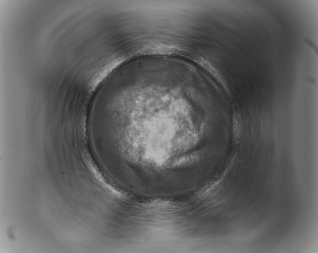 X0000098200581200805221543