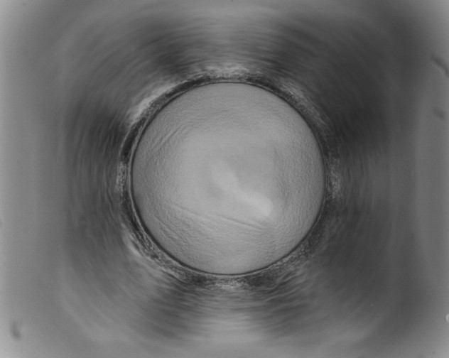 X0000098200583200805221543