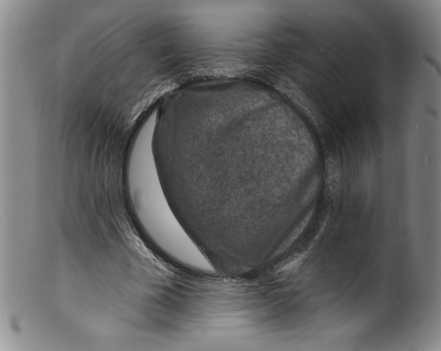 X0000098200585200805221543