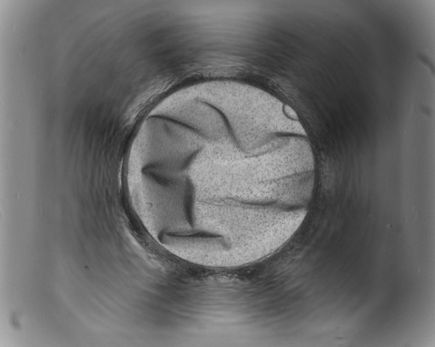 X0000098200586200805221543