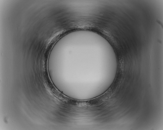 X0000098200587200805221543