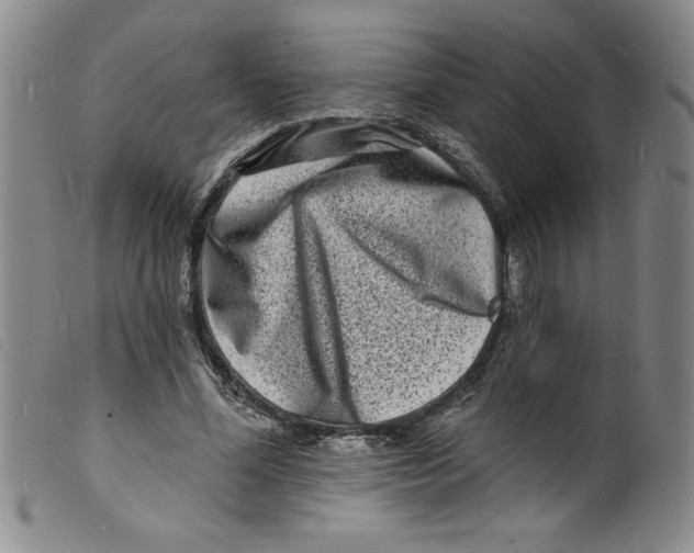 X0000098200588200805221543