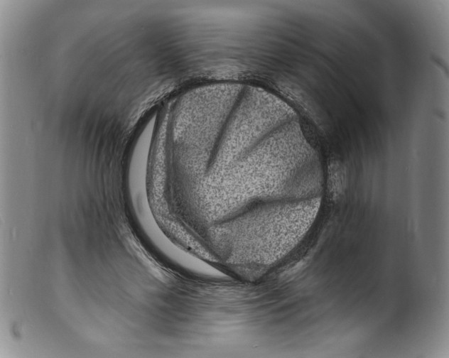 X0000098200589200805221543