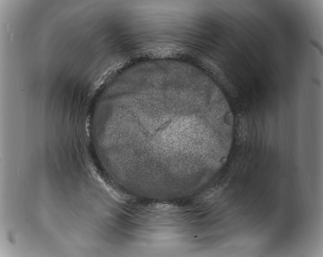 X0000098200590200805221543