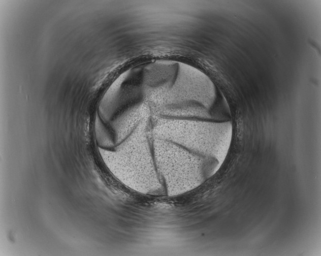 X0000098200592200805221543