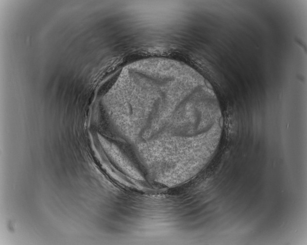X0000098200593200805221543