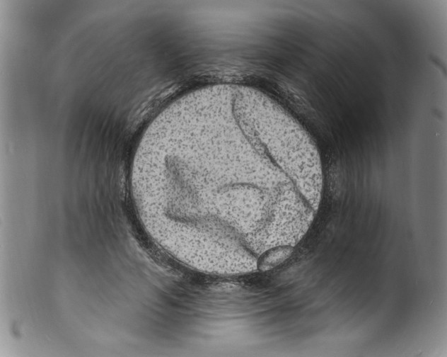 X0000098200594200805221543