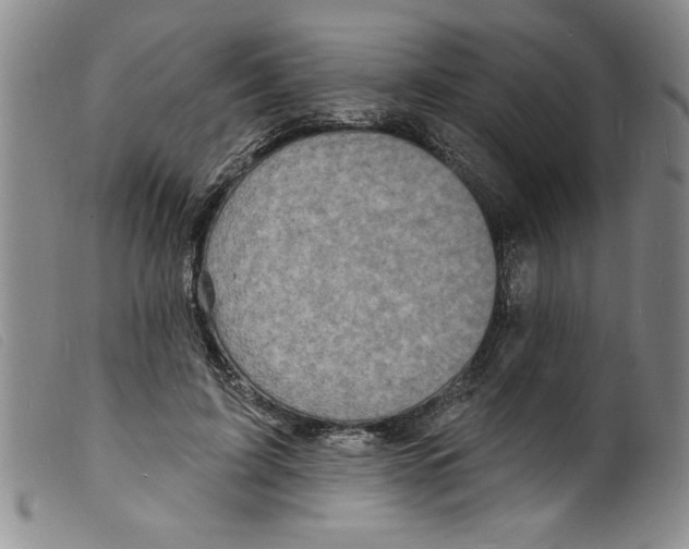 X0000098200595200805221543