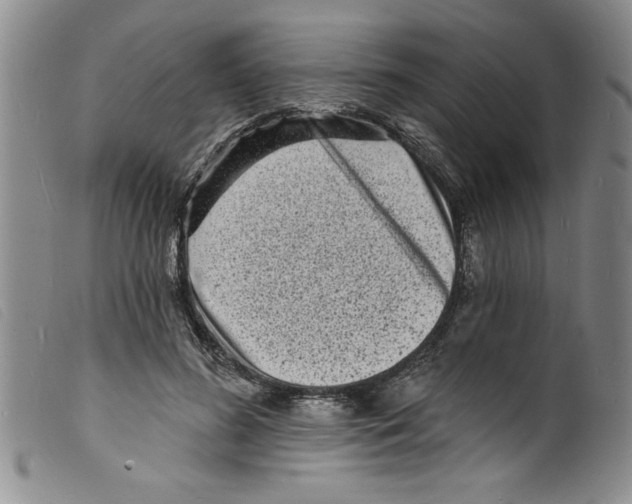 X0000098200596200805221543