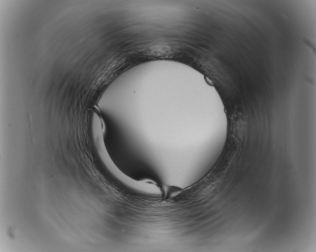 X0000098200597200805221543
