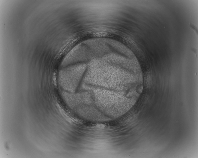 X0000098200598200805221543