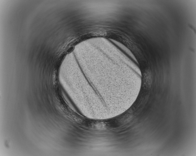 X0000098200600200805221543