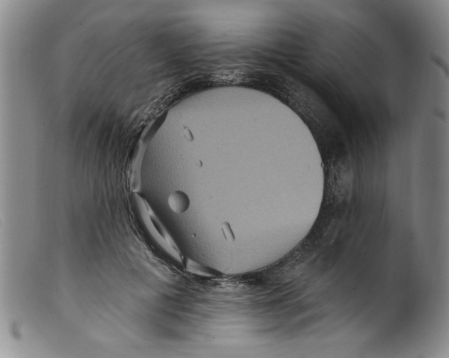 X0000098200601200805221543
