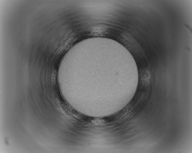 X0000098200603200805221543