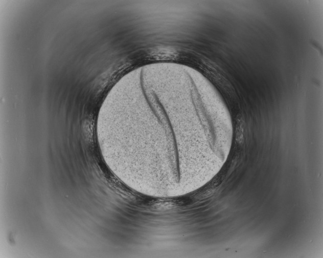 X0000098200604200805221543