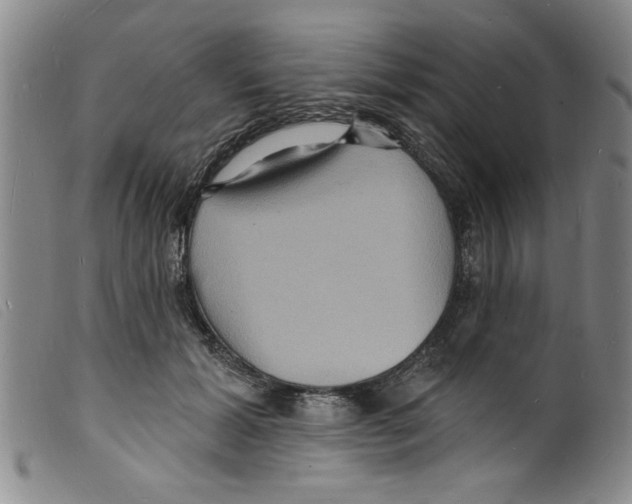 X0000098200605200805221543