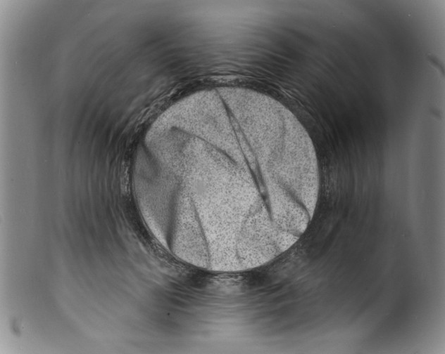 X0000098200606200805221543
