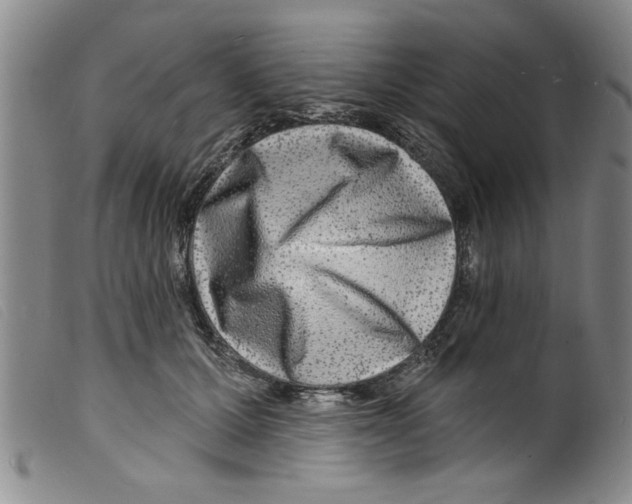 X0000098200607200805221543