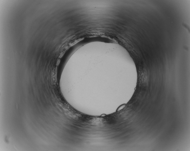 X0000098200609200805221543
