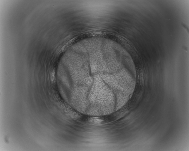 X0000098200610200805221543